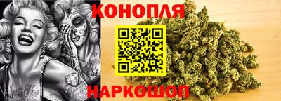 гидропоника Можга