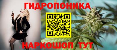 гидропоника Можга