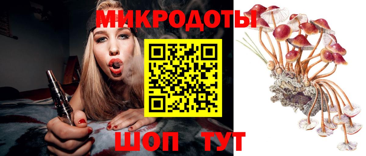 Галлюциногенные грибы Cubensis Сургут